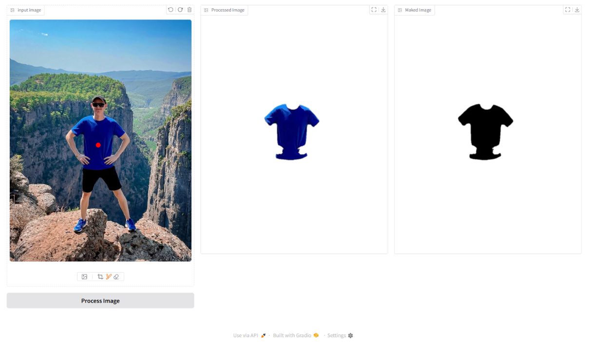 SAM 2 segmentation demo